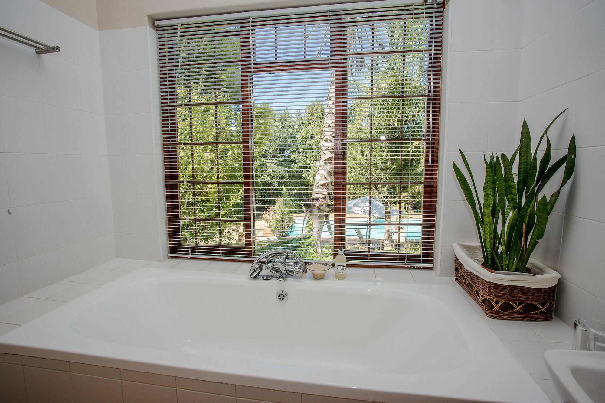 Dirtopia Trail Lodge Stellenbosch Buitenkant foto